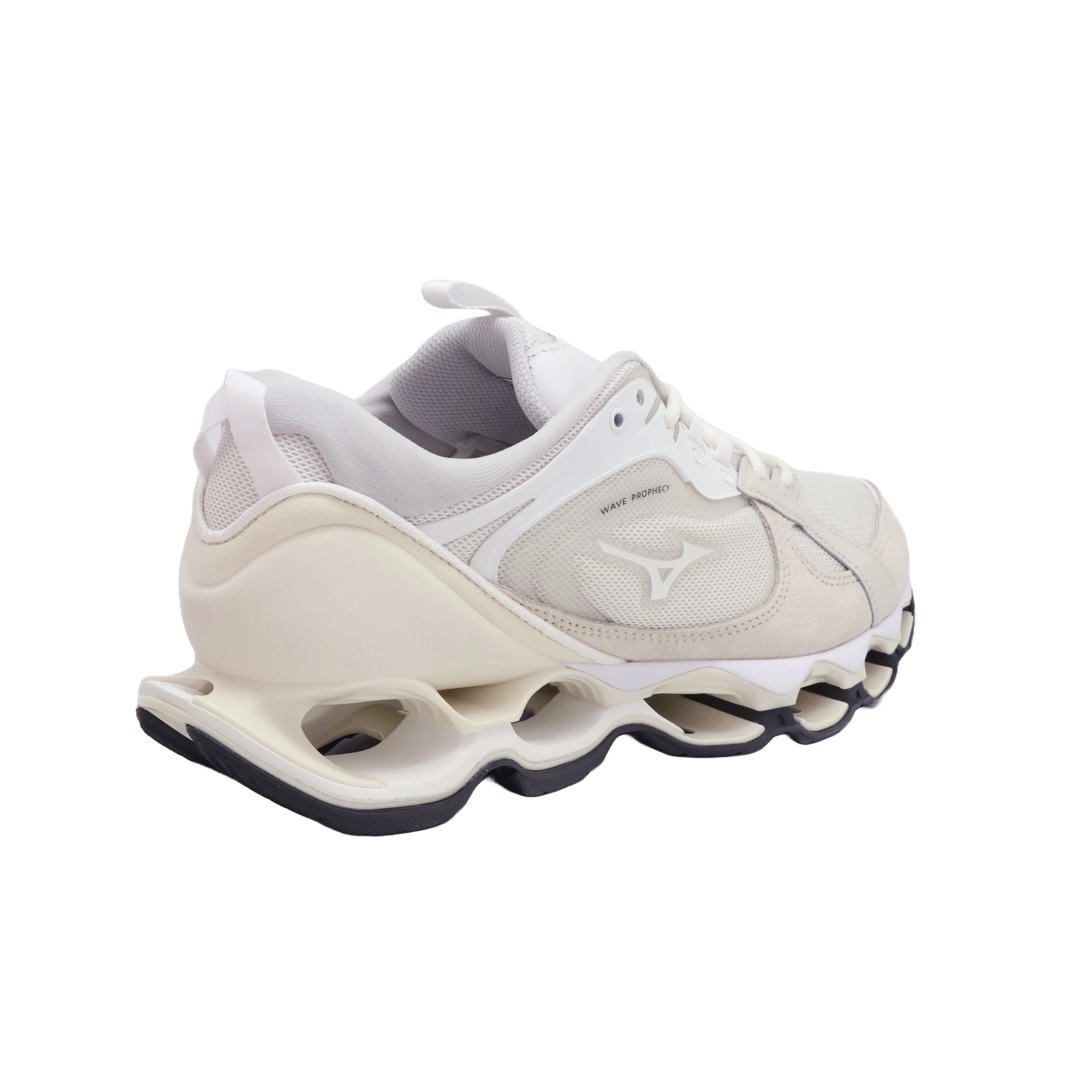 Recommended art. Customer satisfaction 2350 wave Mizuno